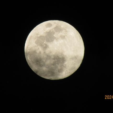 Valeria08813429's profile picture. 