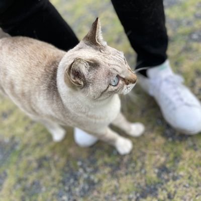 977RPQtW0i44100's profile picture. 