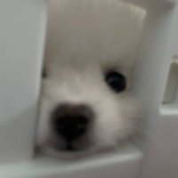 baby lub sayang (@koofist) 's Twitter Profile Photo baby lub sayang (@koofist) 's Twitter Profile Photo
