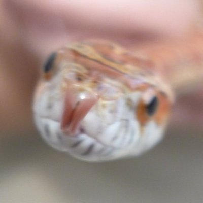 DabblerLea86994's profile picture. Sticky