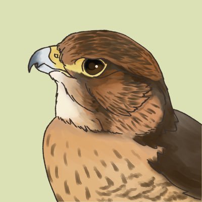 ハミさんのプロフィール画像