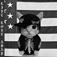 Ken Catson (@kencatson2) 's Twitter Profile