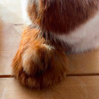 た ま (@mckee_snst) 's Twitter Profile Photo