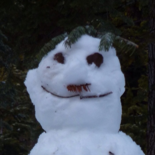 rausanka's profile picture. Unabashed tea drinker. Flip flop connoisseur. Amateur horticulturist and irrigationist. Eng @ Google