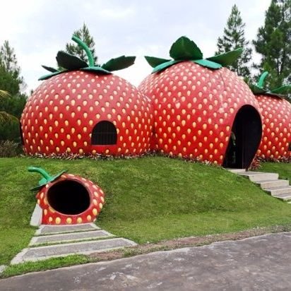 MomoJess3's profile picture. i love Everything ✨️