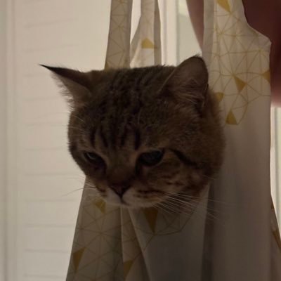 vnyyaaaaa's profile picture. always an angel never a god