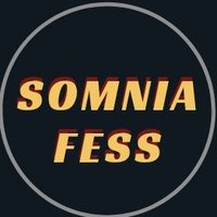 InSomnia Menfess (@somniafess) 's Twitter Profile