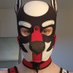 G_Pup95 ๐ถ๐ฆด (@g_pup95) Twitter profile photo G_Pup95 ๐ถ๐ฆด (@g_pup95) Twitter profile photo