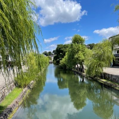 清水東→名大医→名大病院初期研修→Science Tokyo島村研D1. Single-cell omics, Foundation model, Virtual cell, Perturbation biology, Lab-in-the-Loop, Bayesian optimization