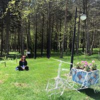 Zeynno (@gultoplar35) 's Twitter Profile Photo