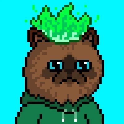buml95's profile picture. Miggles  Jirashan ENS SNS
