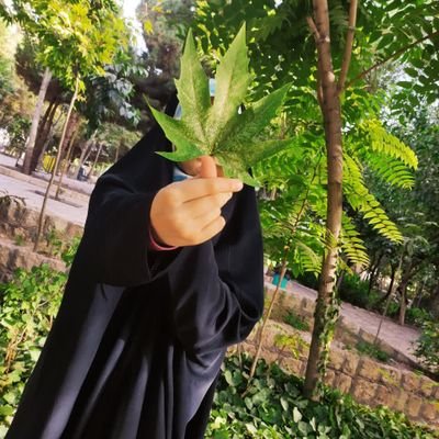روی قبرم بنویسید آرزوی دو رکعت نماز صبح در بیت المقدس داشت.