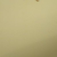 بحبك❤❤❤❤❤❤❤ (@simsimats47020) Twitter profile photo