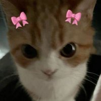 🥥 (@rrnnyds3_) 's Twitter Profile Photo