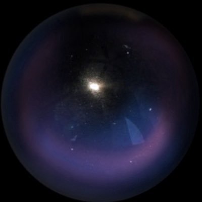 nncvll's profile picture. 