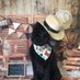 Pierre the Poodle🐩 #🟦 🇨🇱 (@pierre_poodle) Twitter profile photo Pierre the Poodle🐩 #🟦 🇨🇱 (@pierre_poodle) Twitter profile photo