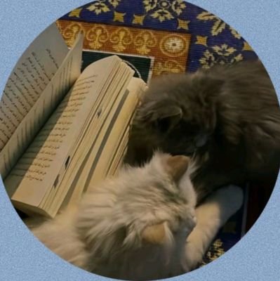 Abdullah1172912's profile picture. @kfupm | CHE'22

 @Alqadsiah ❤️💛