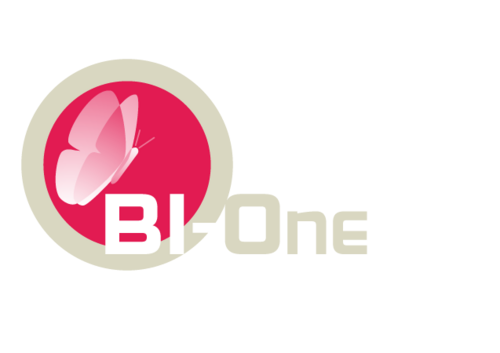 Bi-One, se positionne en tant qu’expert sur les solutions BI.