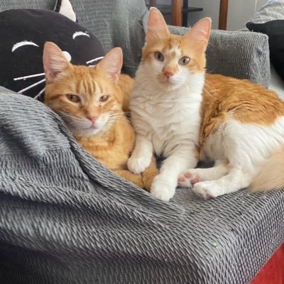 Sale11080's profile picture. 