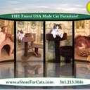 Kerry Allen Miller - @DrCatLitter - Twitter