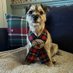 Hector (@batesheckie) Twitter profile photo Hector (@batesheckie) Twitter profile photo