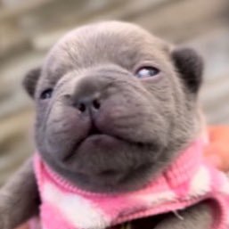 arealfreakazoid's profile picture. @jitsoswag / 18 / The Uncle the Huzz refused