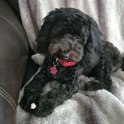 JohnC49599357's profile picture. 