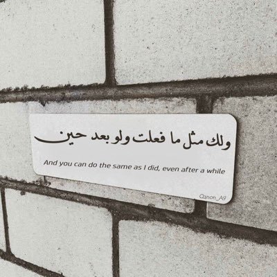 MAlnazer582663's profile picture. 