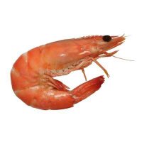 aielg (@aielg_) 's Twitter Profile Photo aielg (@aielg_) 's Twitter Profile Photo