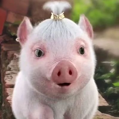 jacky1311487479's profile picture. 