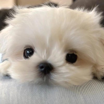 yuhuangqin's profile picture. 当時は大きなプレッシャーを感じていましたが、振り返るとそれがいかに小さなことだったかに気づきます🍀