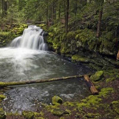 JamesSherm19674's profile picture. 