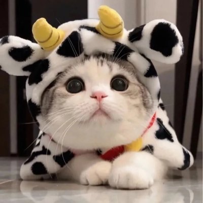 I am a senior cryptocurrency analyst.☀️☀️☀️