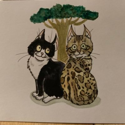 Azazello 15-10-2006 till 31-01-2023 ginger semi longhair cat🌈 lady Lucky and sweet Benjamin. avi by @paseri021 our alternative contact Azazelloandlucky