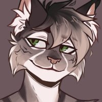 Nos (@incognito_lynx) 's Twitter Profile