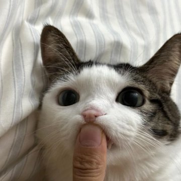 あいさんのプロフィール画像