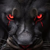 ARTIN IRANI (@mohadiran) 's Twitter Profile