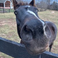 Sean Broderick (@avweeksean) 's Twitter Profile Photo