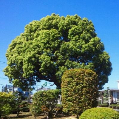 2021年12月よりロードスターrfに乗っています。 無言フォローすみません 最近老眼が進行している私ですがよろしくお願いします。