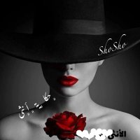 🇸🇦﮼حكايةأنثى ﮼ 💙 (@shosho00919) 's Twitter Profile