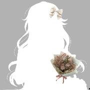 ✵❤︎بلقيس❤︎✵ (@sullaf_7) 's Twitter Profile