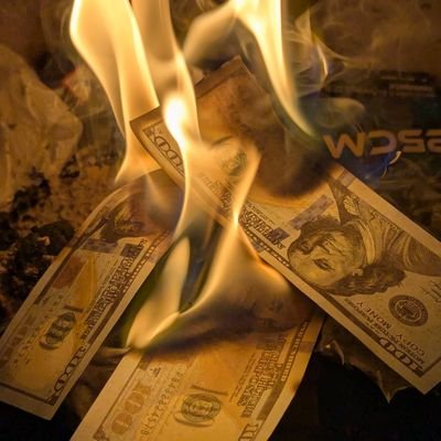 bergers_thomas's profile picture. 