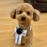 misu✪misu (@misumis94107456) Twitter profile photo