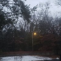 Kyeshuan Rivera (@kyeshuanr) 's Twitter Profile
