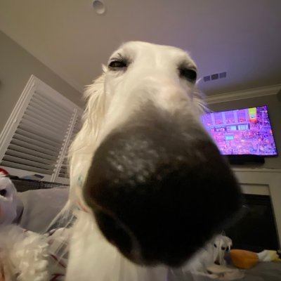 1kpr | 🇺🇦🇬🇧 | Fragger
Top 3 solo cc finals 3x | FNCS qual R3 😈
@fortnitecompetitive | https://t.co/TC5tlF2ozM