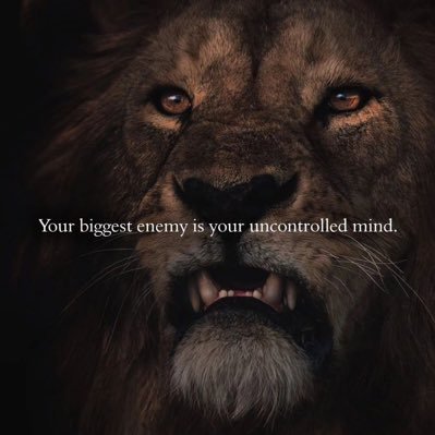 Mfk741776's profile picture. 