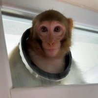 Özberk (@ozberkacik) 's Twitter Profile