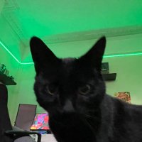 Code (@999code_) 's Twitter Profile