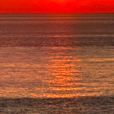 Michael8x1's profile picture. 