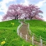 GwenWagner18's profile picture. وبقينا بننام والدموع ف عنينا محبوسه من كتر الوجع..